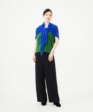 GBFAG30430 Sybilla(シビラ) Vネックファーニット グリーン