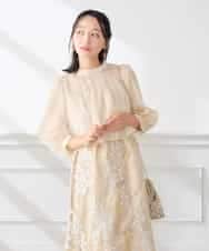 KAETF11169 a.v.v Elmi(アー・ヴェ・ヴェ) 【低身長サイズ/結婚式/お呼ばれに】チュール刺繍 スタンドカラーワンピース ベージュ